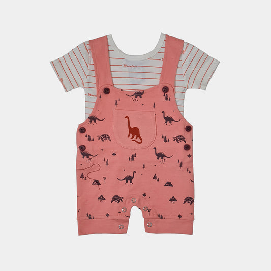 Dino Summer Dungaree
